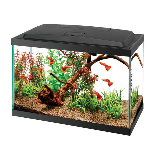 Aqueon Aquarium Starter Kit with LED Lighting 5.5G Aqueon