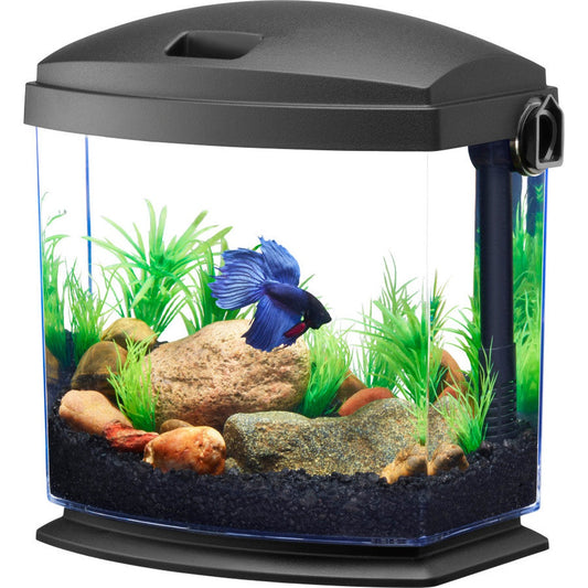 Aqueon BettaBow with Quick Clean Technology Aquarium Kit Aqueon