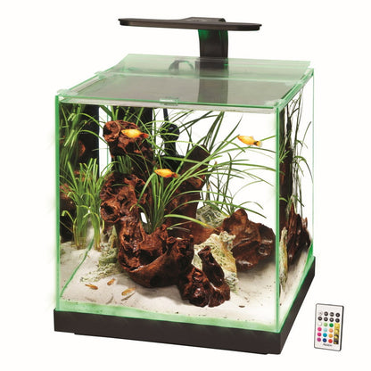 Aqueon Edgelit Rimless Cube Glass Aquariums Aqueon