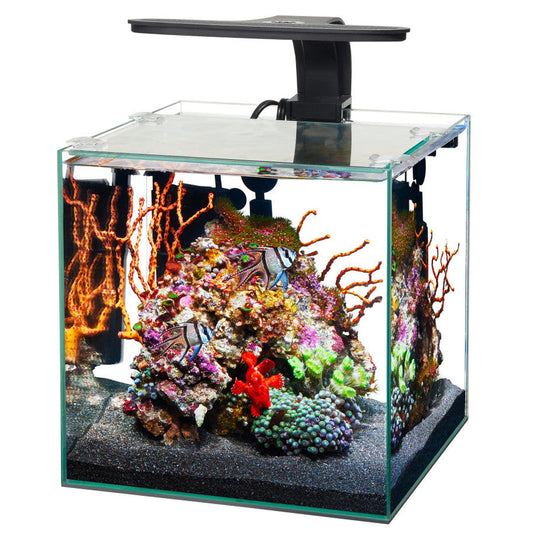 Aqueon Frameless Cube Aquarium Aqueon