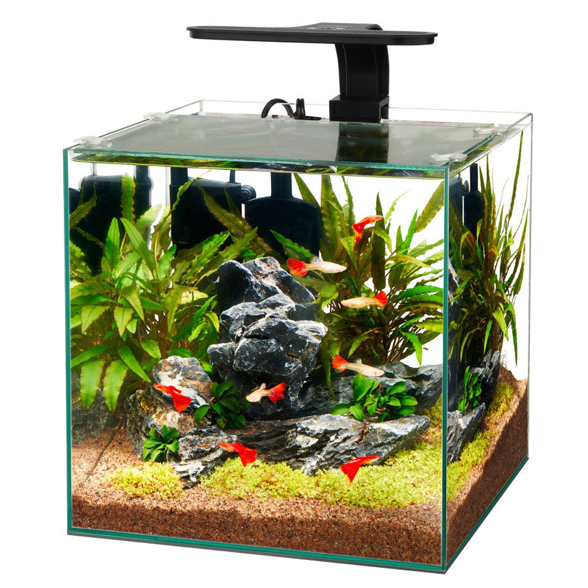 Aqueon Frameless Cube Aquarium Aqueon