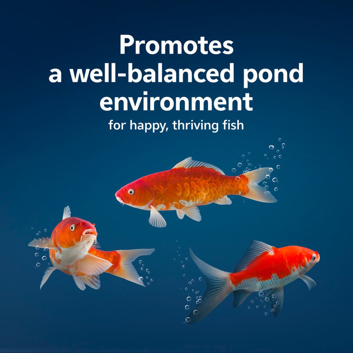 Aqueon PURE Pond Bomb Aqueon