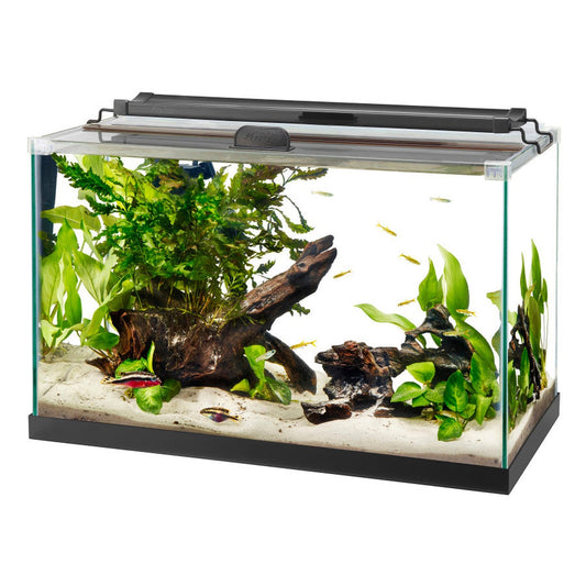 Aqueon Rimless Rectangle Aquarium Aqueon