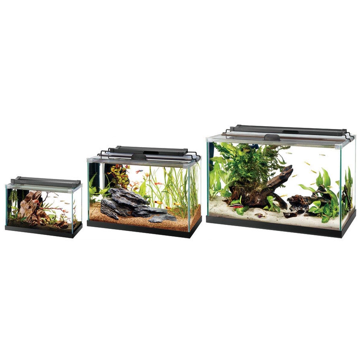 Aqueon Rimless Rectangle Aquarium Aqueon