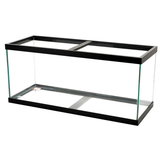 Aqueon Standard Glass Rectangle Aquarium Black Silicone Aqueon