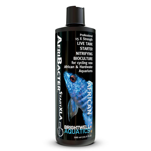 Brightwell Aquatics Brightwell Aquatics AfriBacter Start XLA