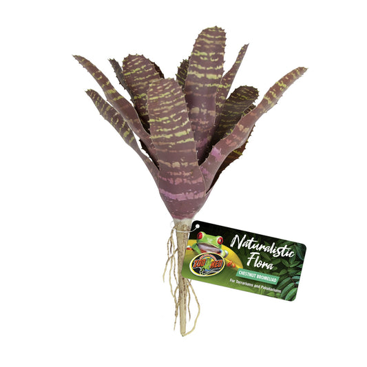 Zoo Med Naturalistic Flora – Chestnut Bromeliad