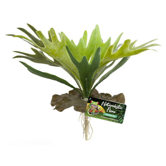 Zoo Med Naturalistic Flora – Staghorn Fern