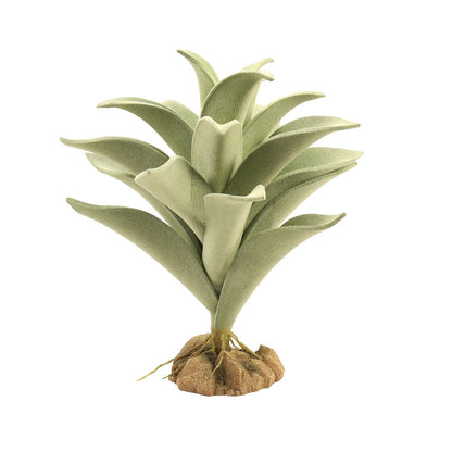 Zoo Med Desert Flora – Silver Mullein