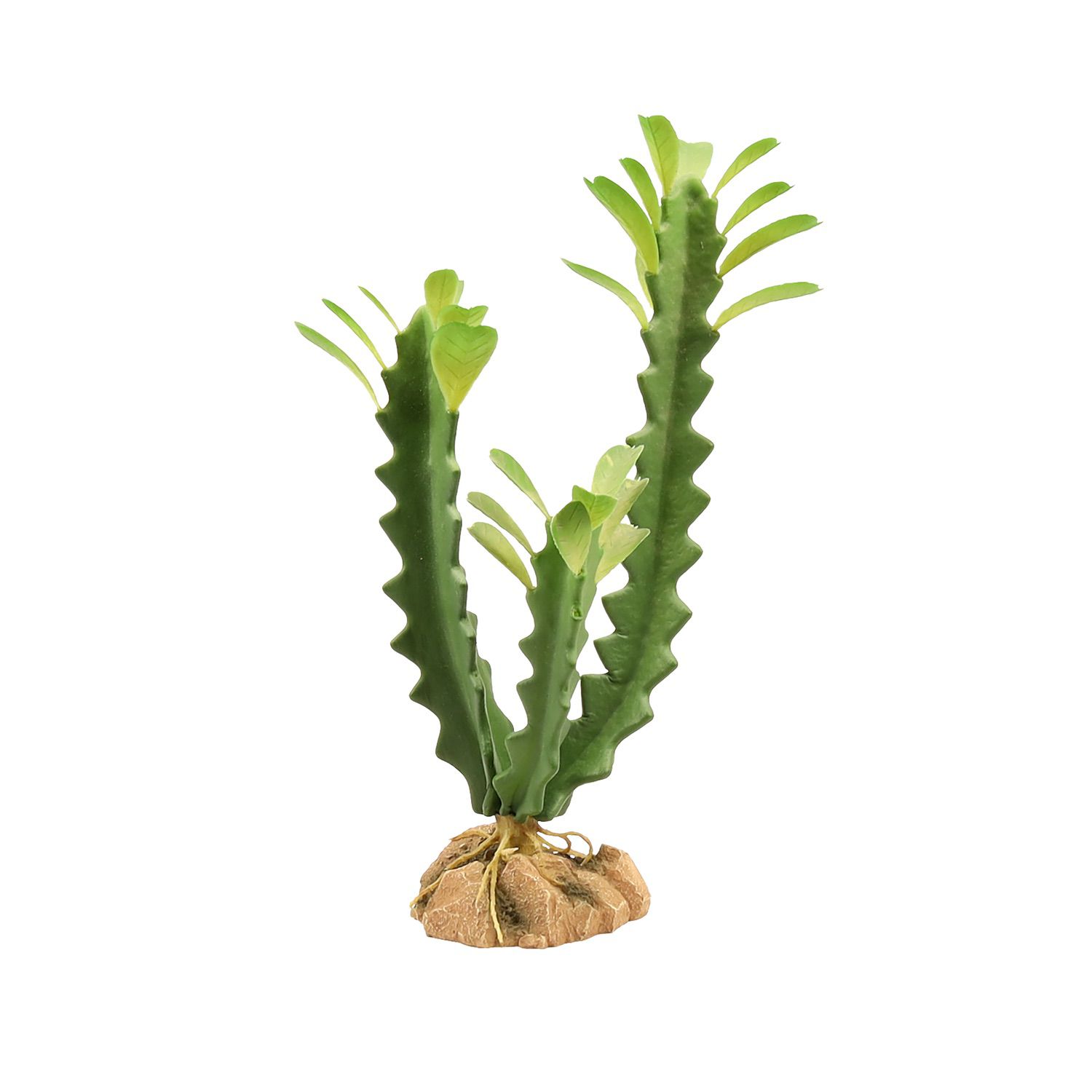 Zoo Med Desert Flora – Euphorbia Zoo-Med