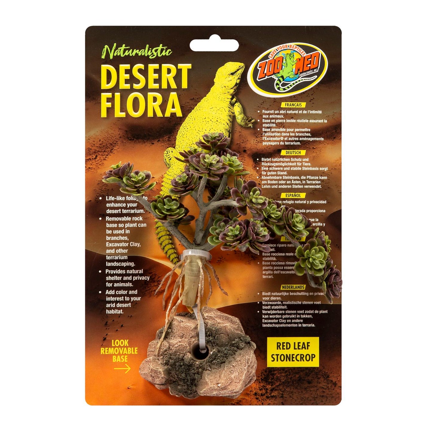 Zoo Med Desert Flora – Red Leaf Stonecrop Zoo-Med