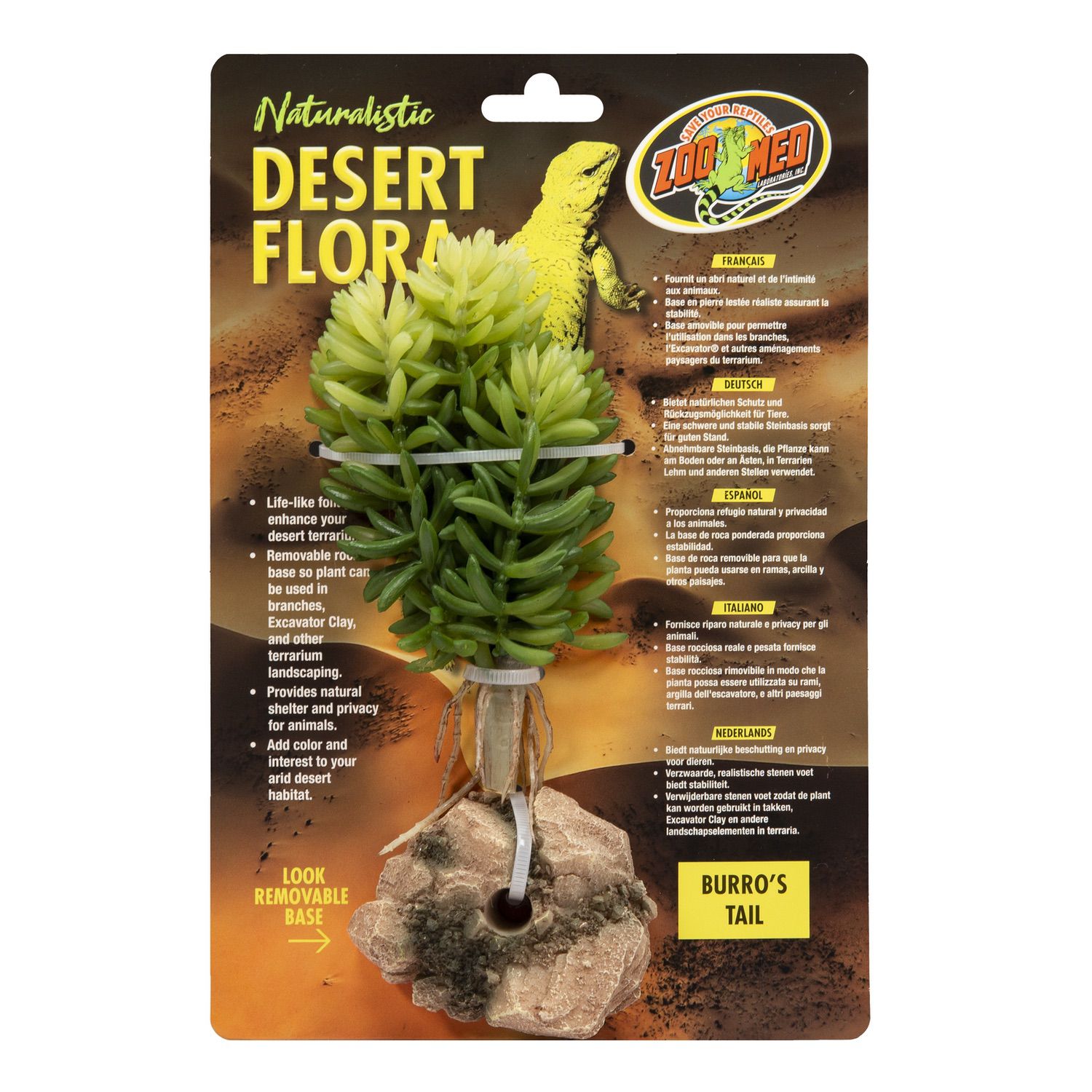 Zoo Med Desert Flora – Burro’s Tail Zoo-Med