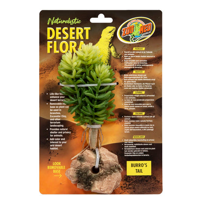 Zoo Med Desert Flora – Burro’s Tail Zoo-Med