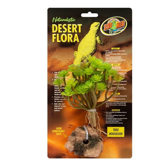 Zoo Med Desert Flora – Tree Houseleek