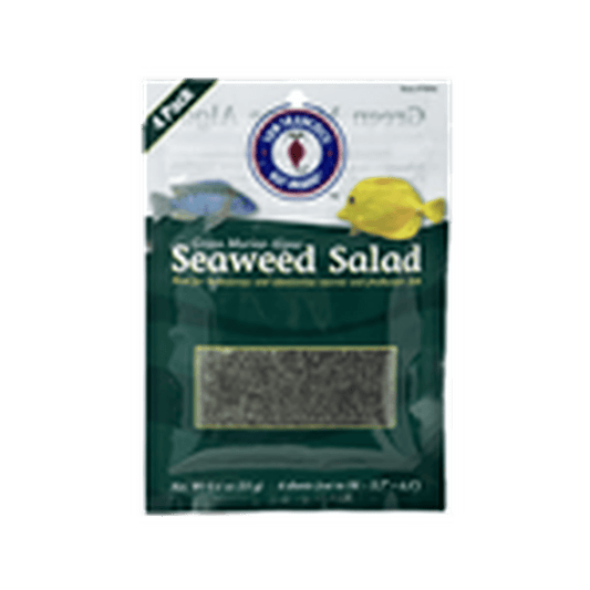 Bay Brand Green Seaweed Salad 4 Ct. 11g San Francisco Bay Brand