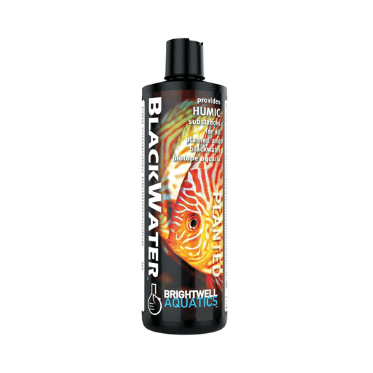BlackWater – Natural Blackwater Conditioner for Freshwater Aquariums Brightwell Aquatics