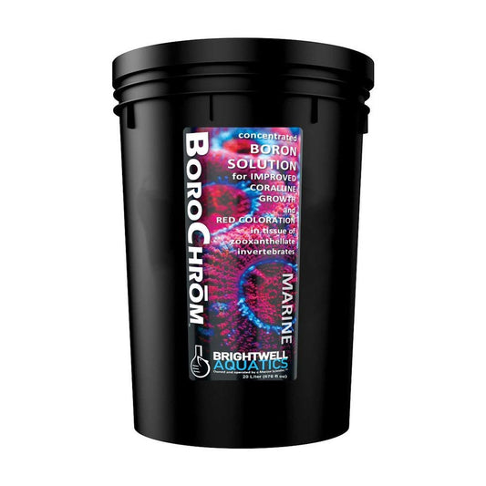 BoroChrom – Concentrated Boron Supplement for Coralline & Coral Growth Brightwell Aquatics