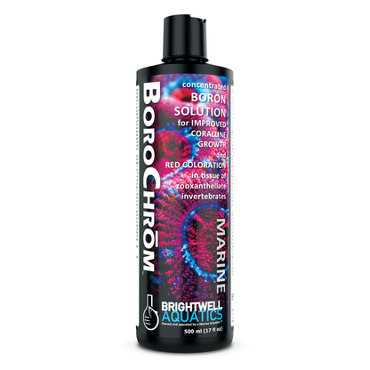 Brightwell BoroChrom - Product view 2