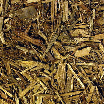 Zoo Med Forest Floor™ Bedding Zoo-Med