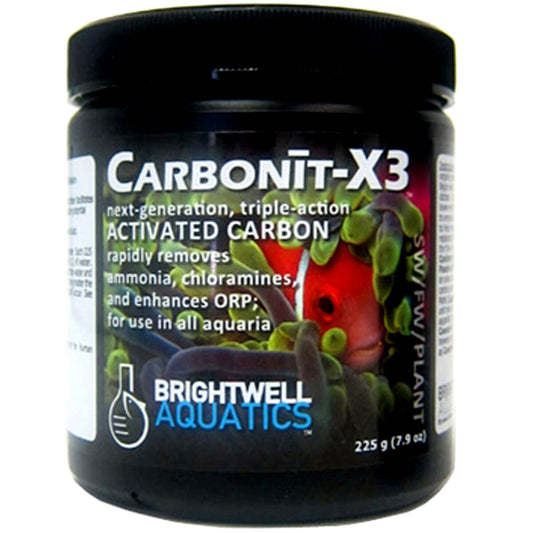 Carbonit-X3 – Next-Generation Enhanced Activated Carbon for Superior Filtration Brightwell Aquatics