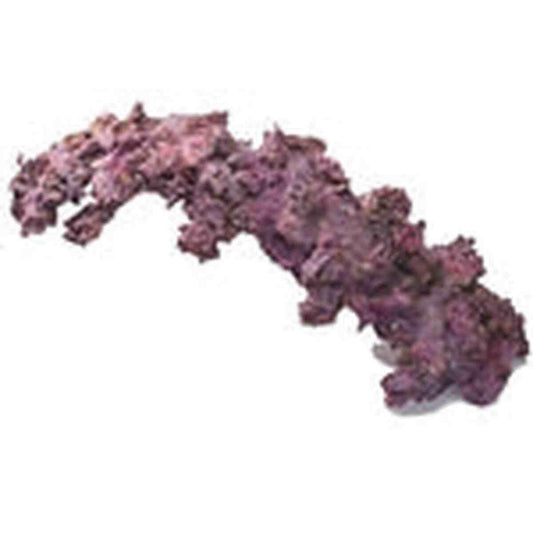 CaribSea LifeRock Arch XL 24" Single Arch Caribsea