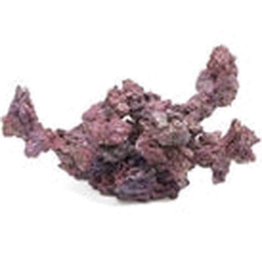 CaribSea LifeRock Reef Forest Kit with Arches Caribsea