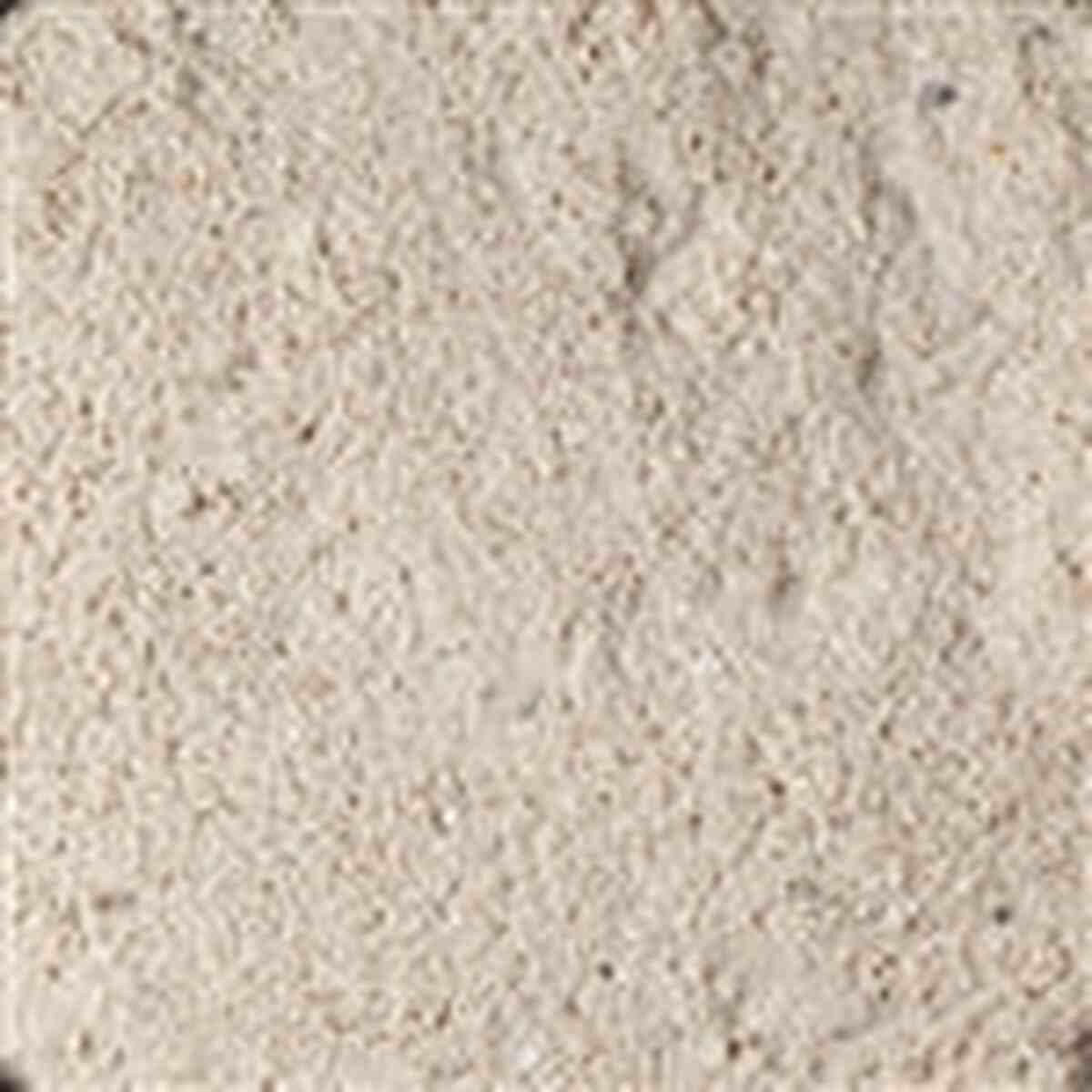 CaribSea Ocean Direct Live Sand 40 lbs Oolite Grade Caribsea