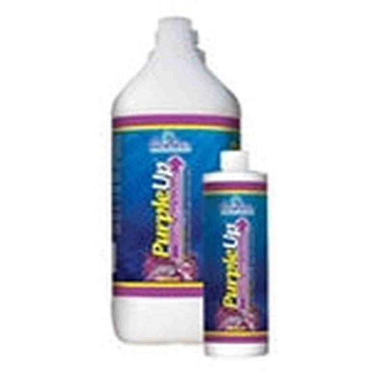 CaribSea Purple Up 4oz Caribsea