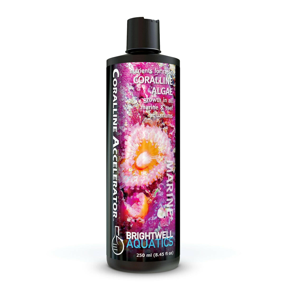 Coralline Accelerator – Essential Elements for Coralline Algae & Reef Growth Brightwell Aquatics