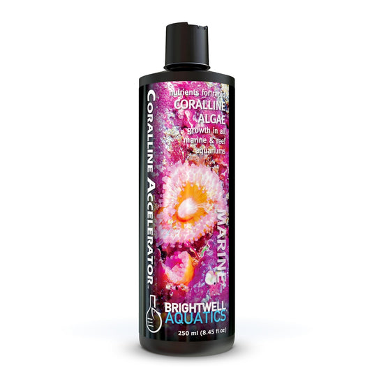 Coralline Accelerator – Essential Elements for Coralline Algae & Reef Growth Brightwell Aquatics