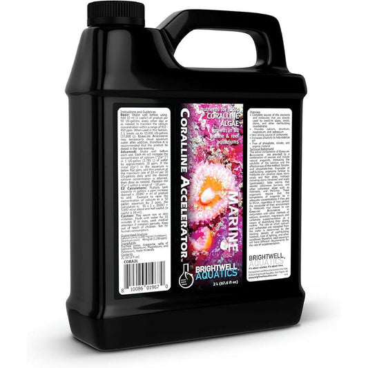 Coralline Accelerator – Essential Elements for Coralline Algae & Reef Growth Brightwell Aquatics