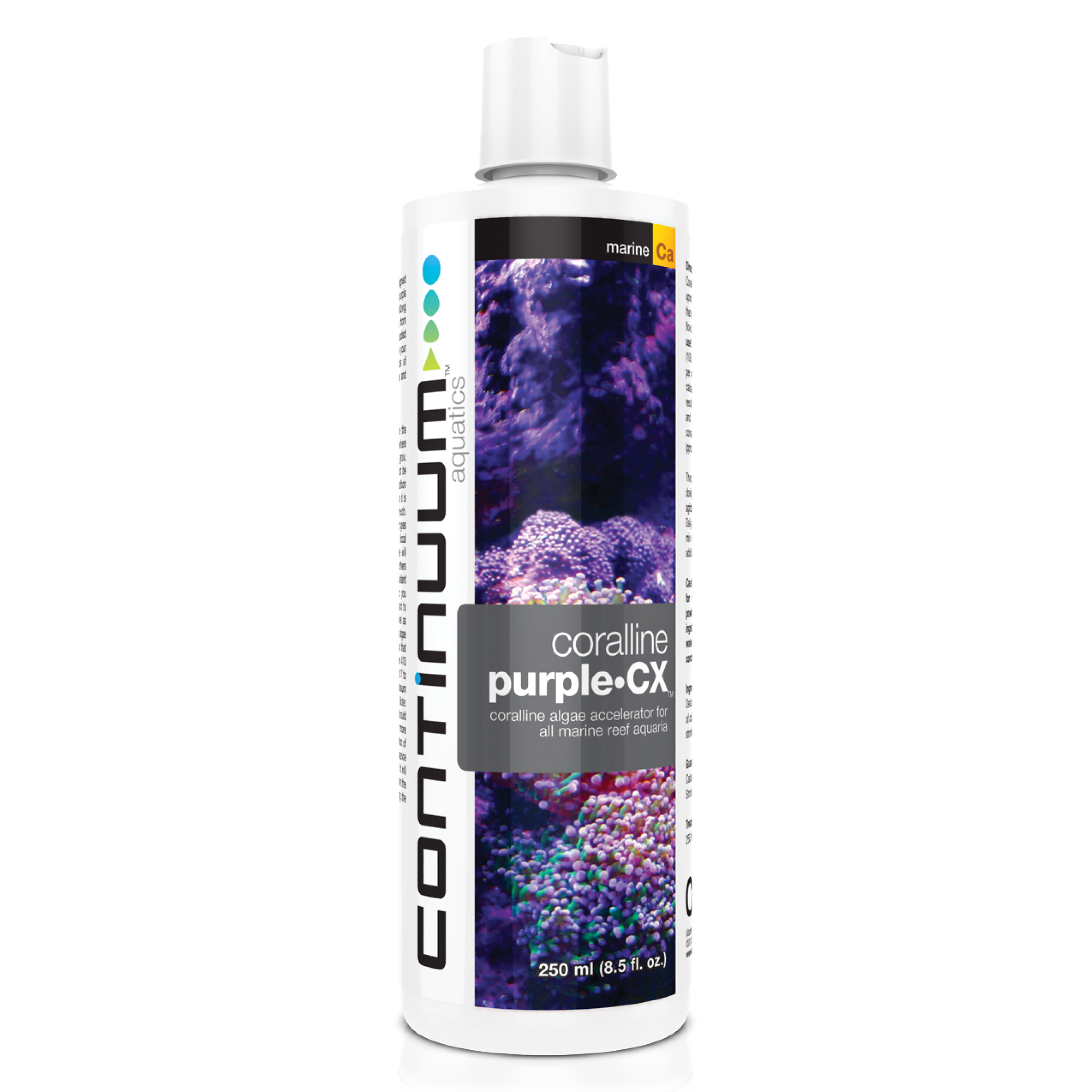 Continuum Aquatics Continuum Aquatics Coralline Purple CX