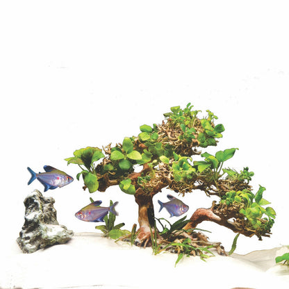 Zoo Med Dragon Bonsai Tree.