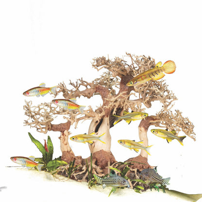 Zoo Med Dragon Bonsai Tree.