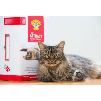 Dr. Elsey's Cat Attract Scoopable Cat Litter Dr. Elsey's