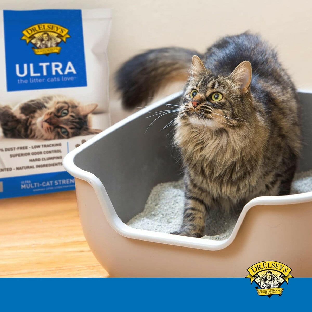 Dr. Elsey's Ultra Precious Scoopable Cat Litter Dr. Elsey's