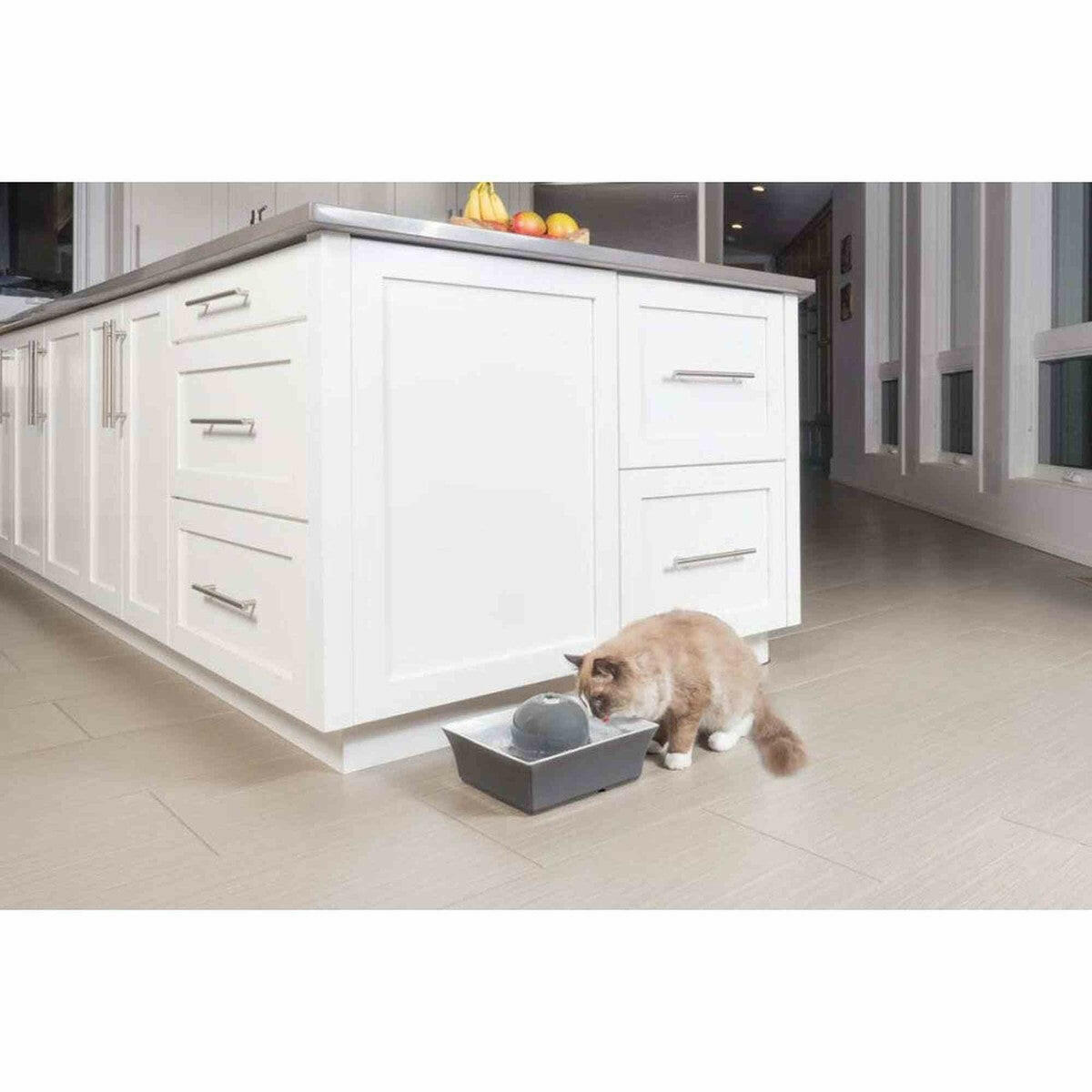 Drinkwell Seascape Pet Fountain Drinkwell