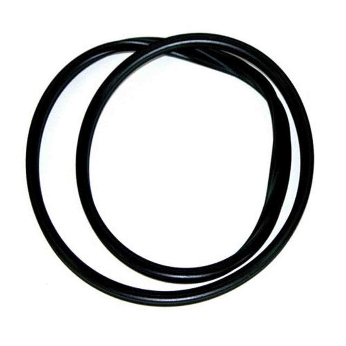 Eheim Replacement Part - Sealing Gasket for 2222/2224 7343168