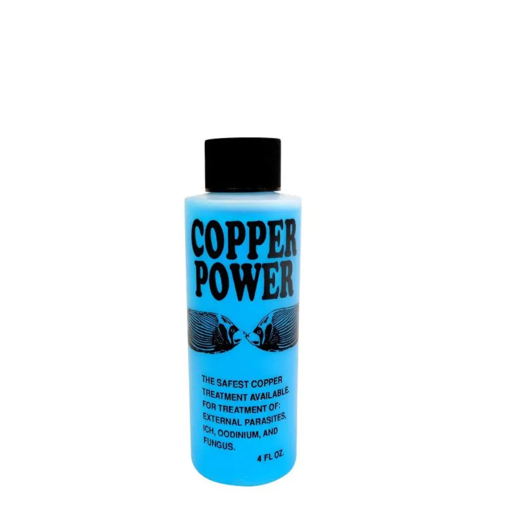 Endich Copper Power Saltwater Endich