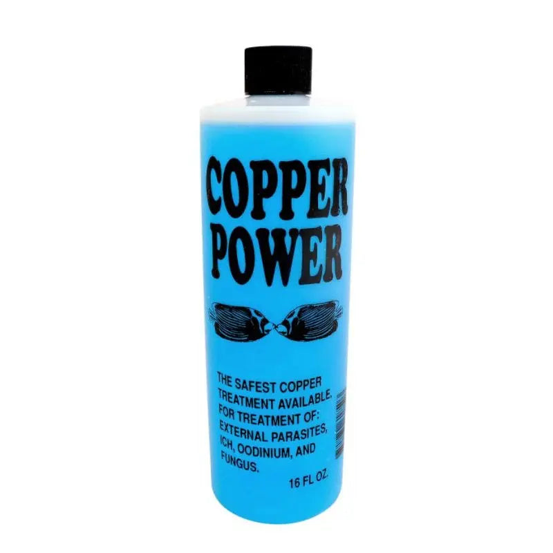 Endich Copper Power Saltwater Endich