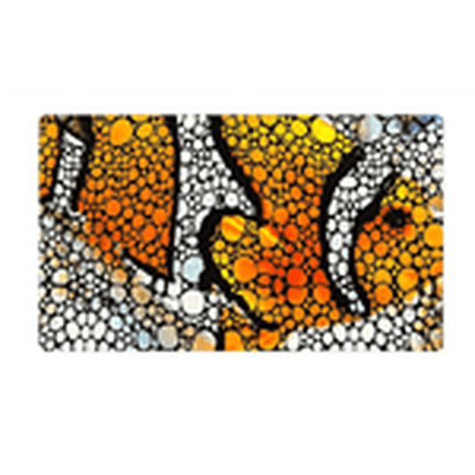 Flipper Aquarium Mat with Clownfish Artwork Flipper