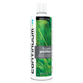 Continuum Aquatics Continuum Aquatics Flora Viv Prolifera