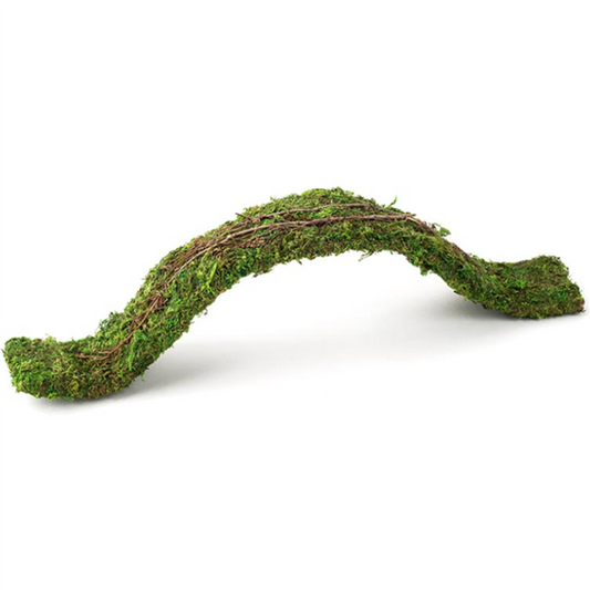 Galapagos Flexible Bridge Green 2ft