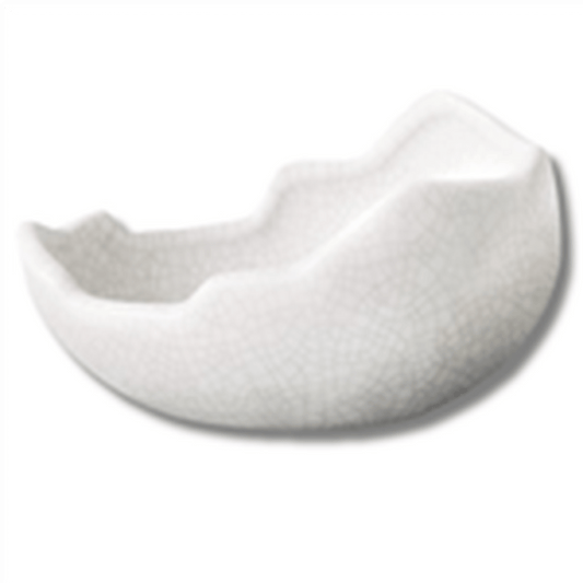 Galapagos Ceramic Egg Dish - Medium Galapagos