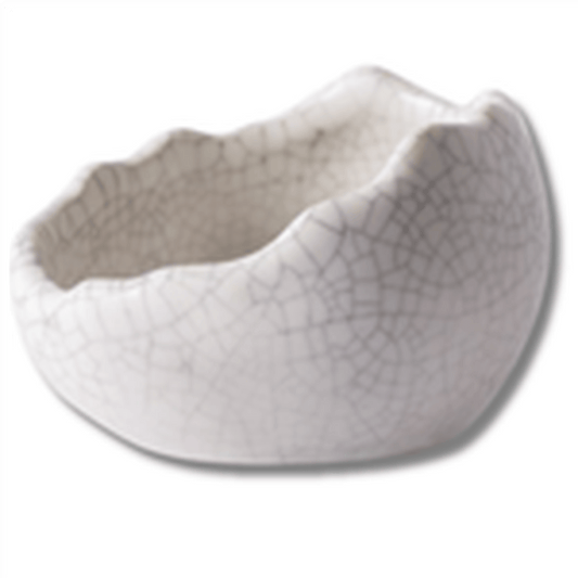 Galapagos Ceramic Egg Dish - Small Galapagos