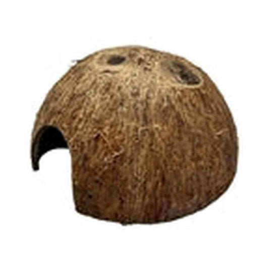 Galapagos Coco Cave 4" x 3" Galapagos
