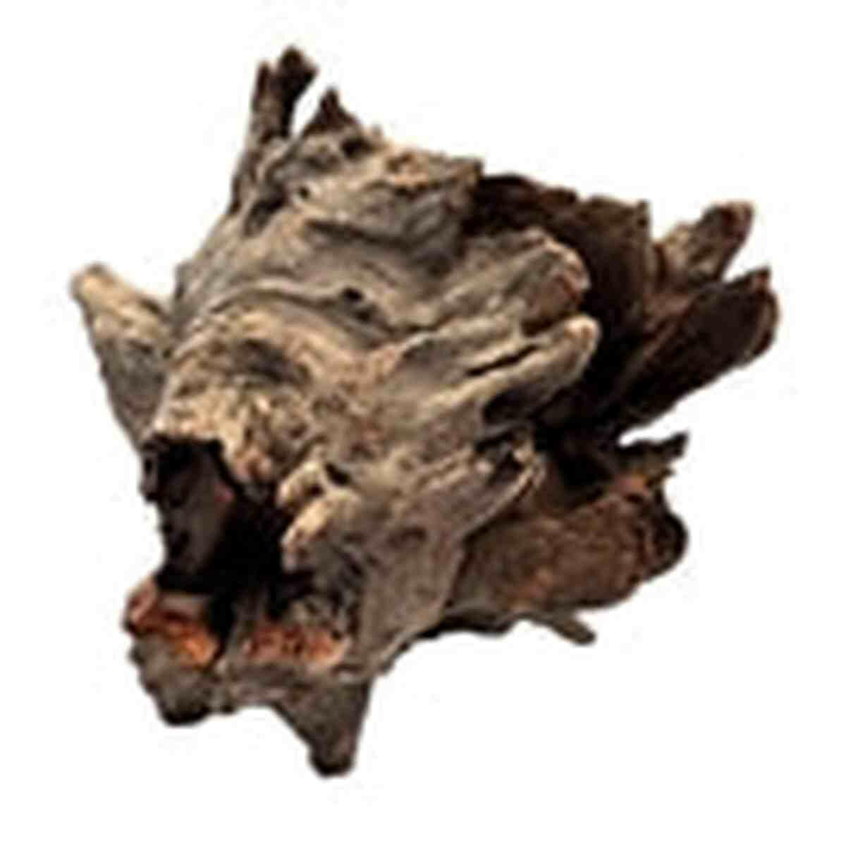 Galapagos Eucalyptus Root Hollow Log 6"-8" Galapagos