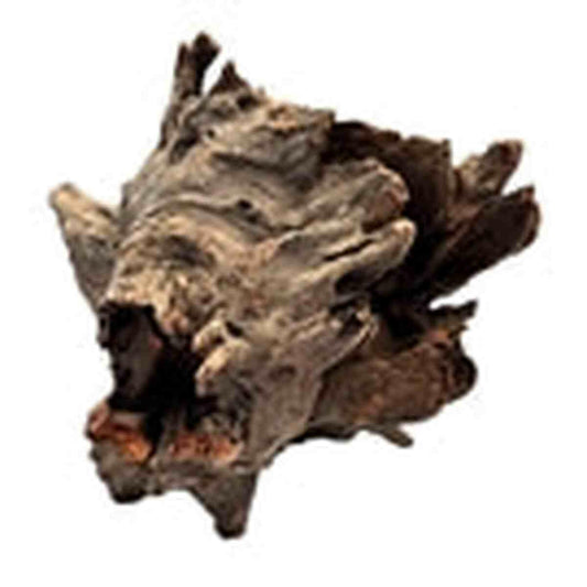 Galapagos Eucalyptus Root Hollow Log 6"-8" Galapagos