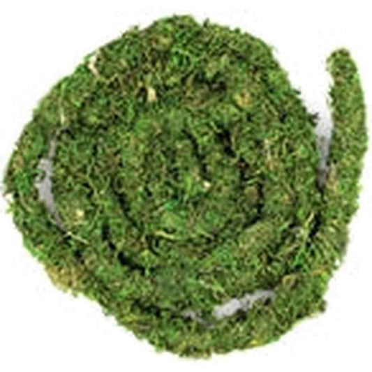 Galapagos MossVine Green Bulk 60ft Galapagos