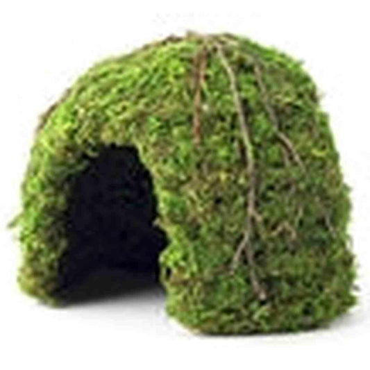 Galapagos Mossy Dome Green 6" Diameter Galapagos